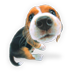 Puppy_s.png